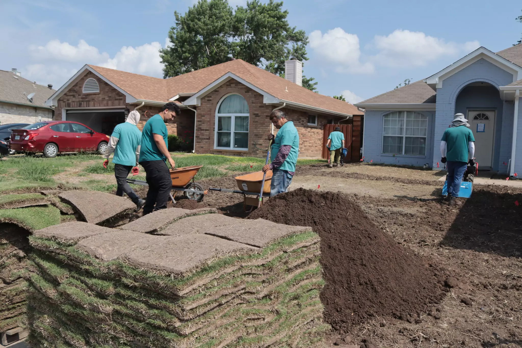 Sod vs. Seed: Which is Right for You?